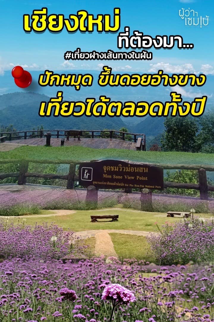 ม่อนสน