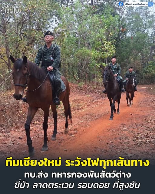 เดินป่าตรวจไฟ