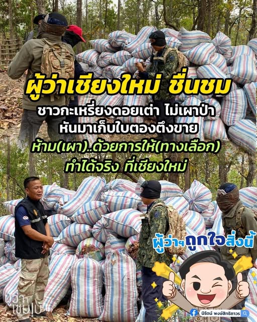 เก็บใบตองตึงขาย