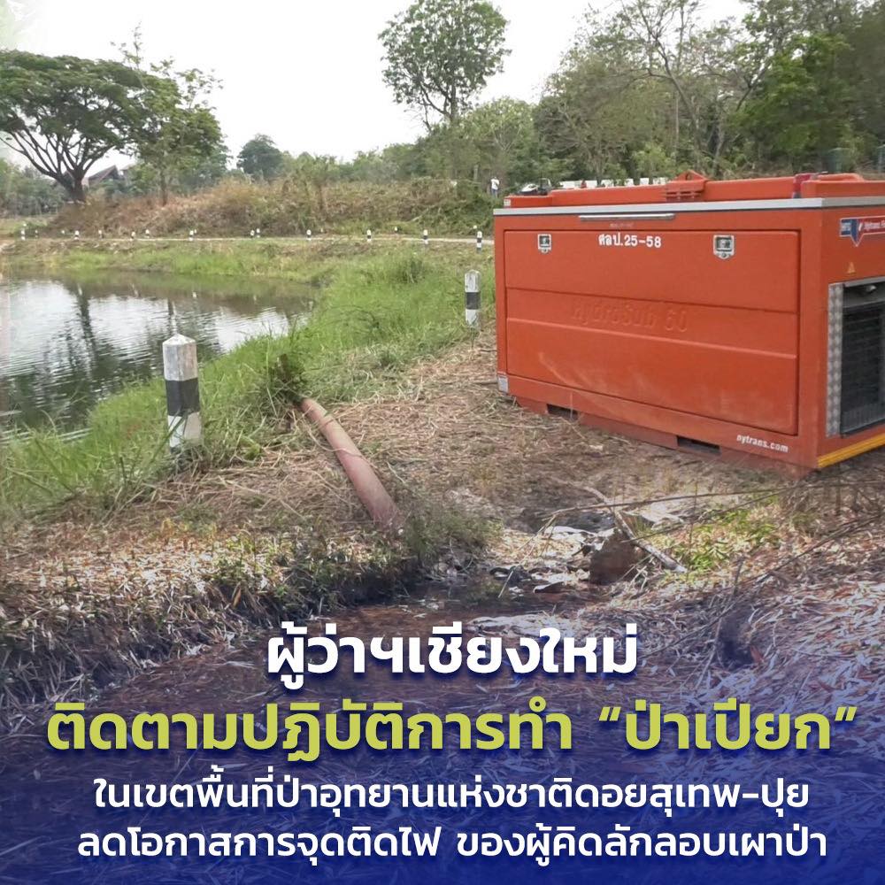 ป่าเปียก