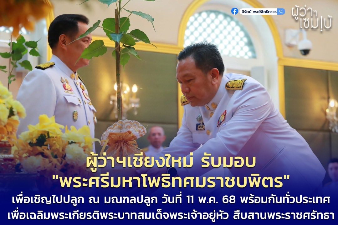 ต้นโพธิ์